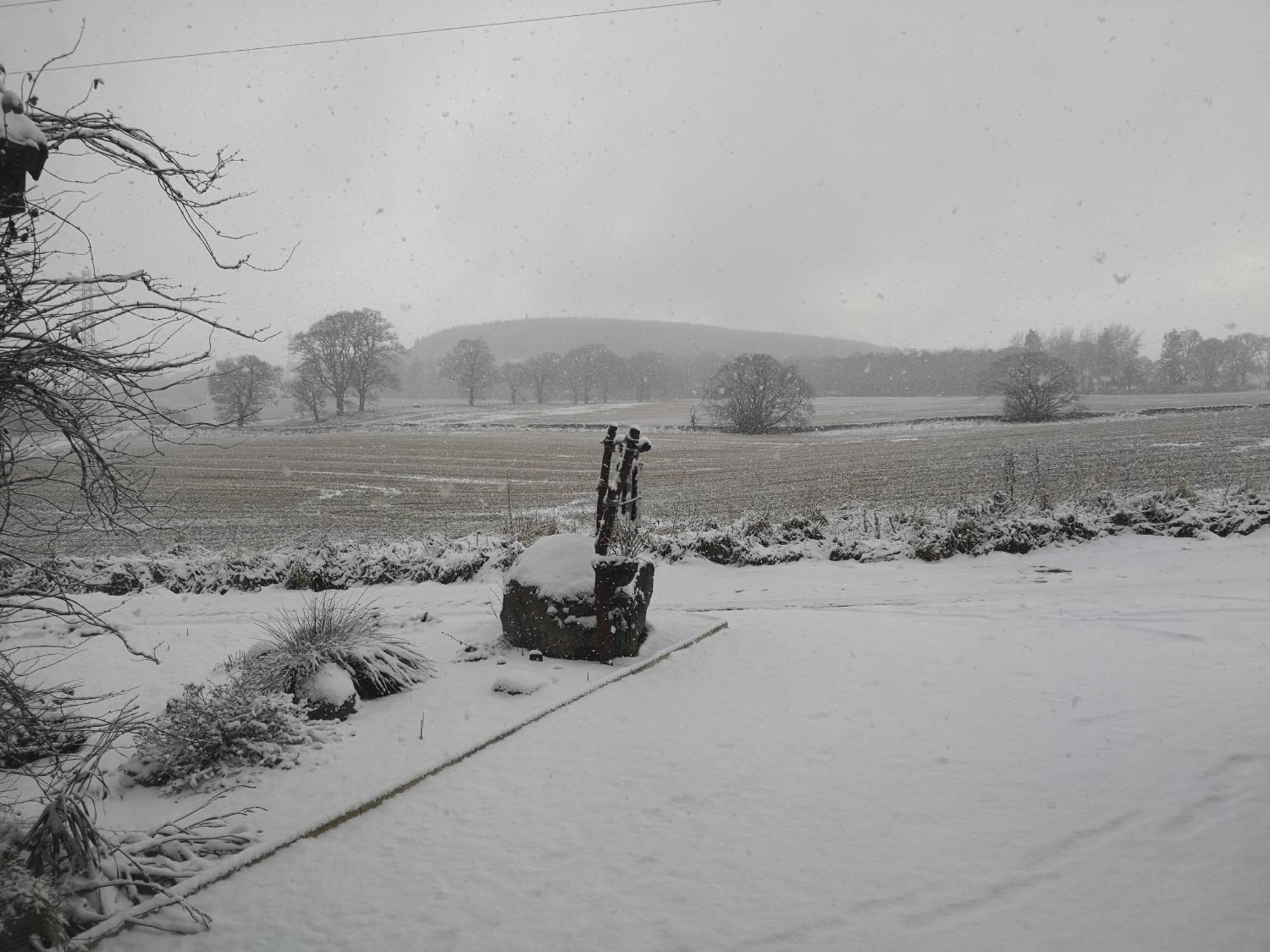 Beechwood Lodge Guesthouse Alness Esterno foto