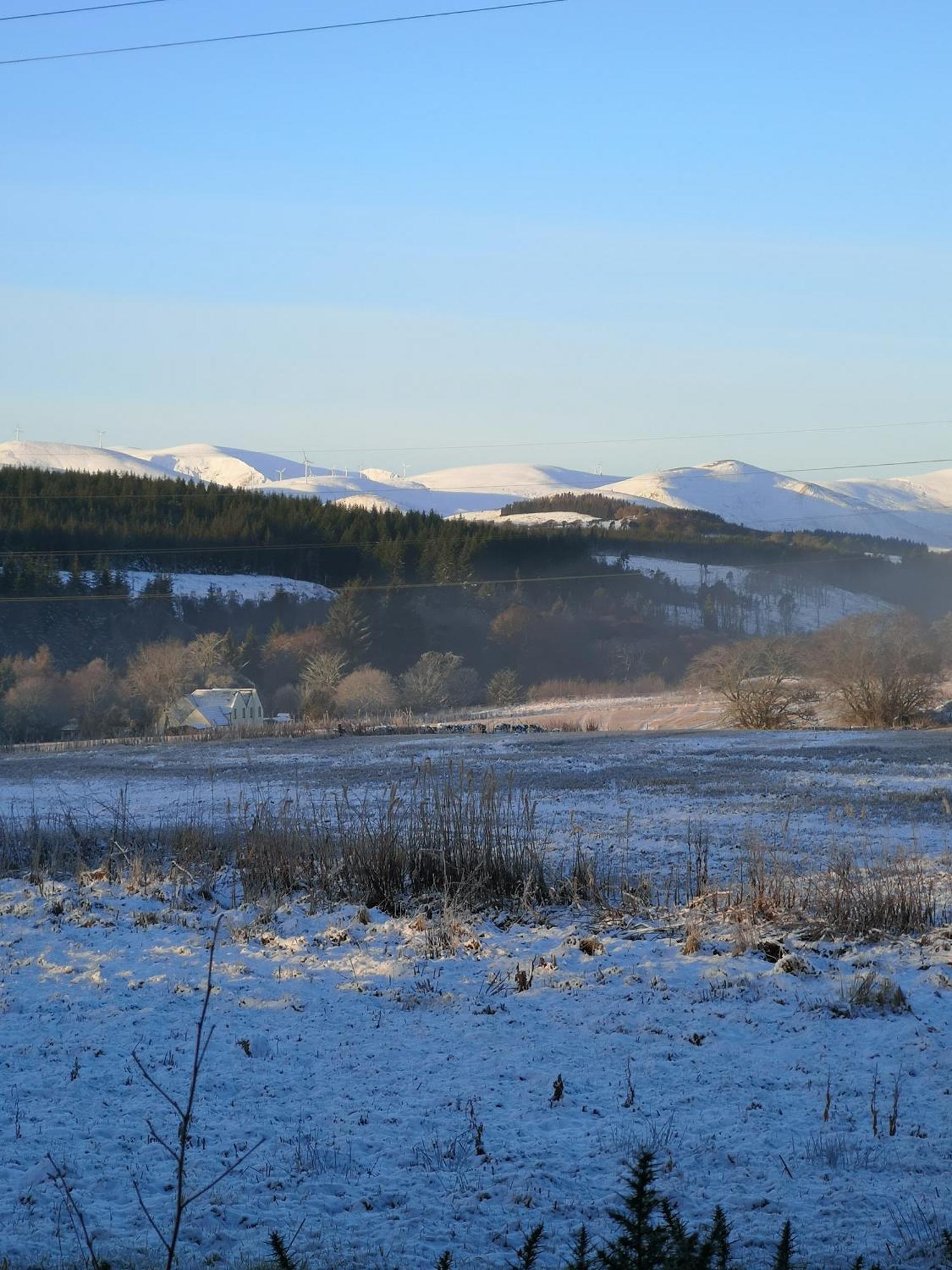 Beechwood Lodge Guesthouse Alness Esterno foto