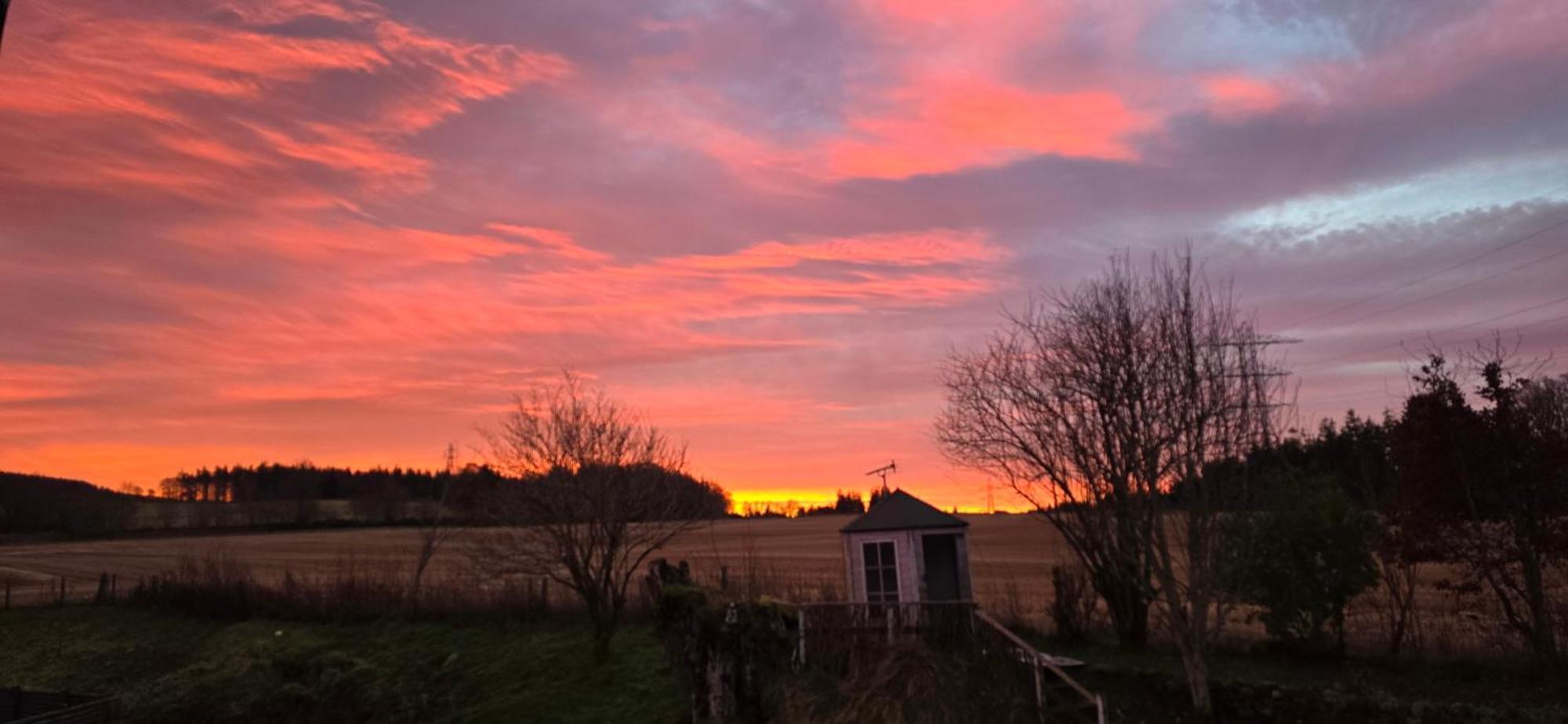 Beechwood Lodge Guesthouse Alness Esterno foto