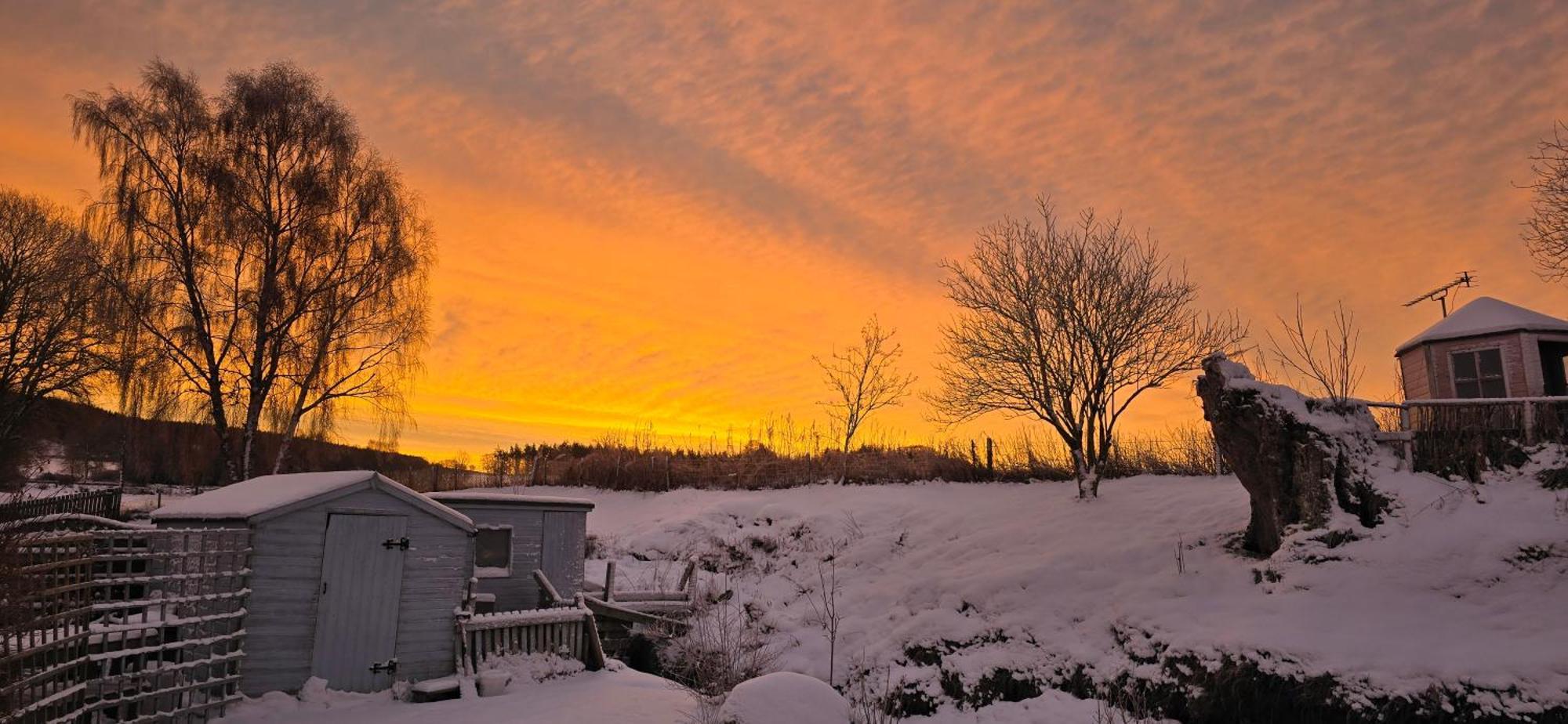 Beechwood Lodge Guesthouse Alness Esterno foto