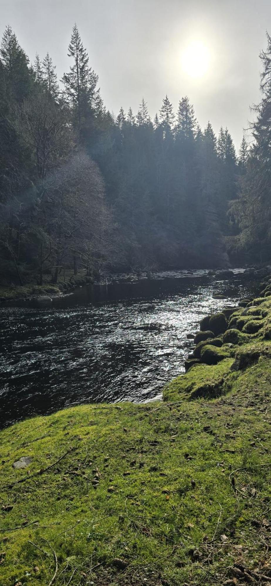 Beechwood Lodge Guesthouse Alness Esterno foto